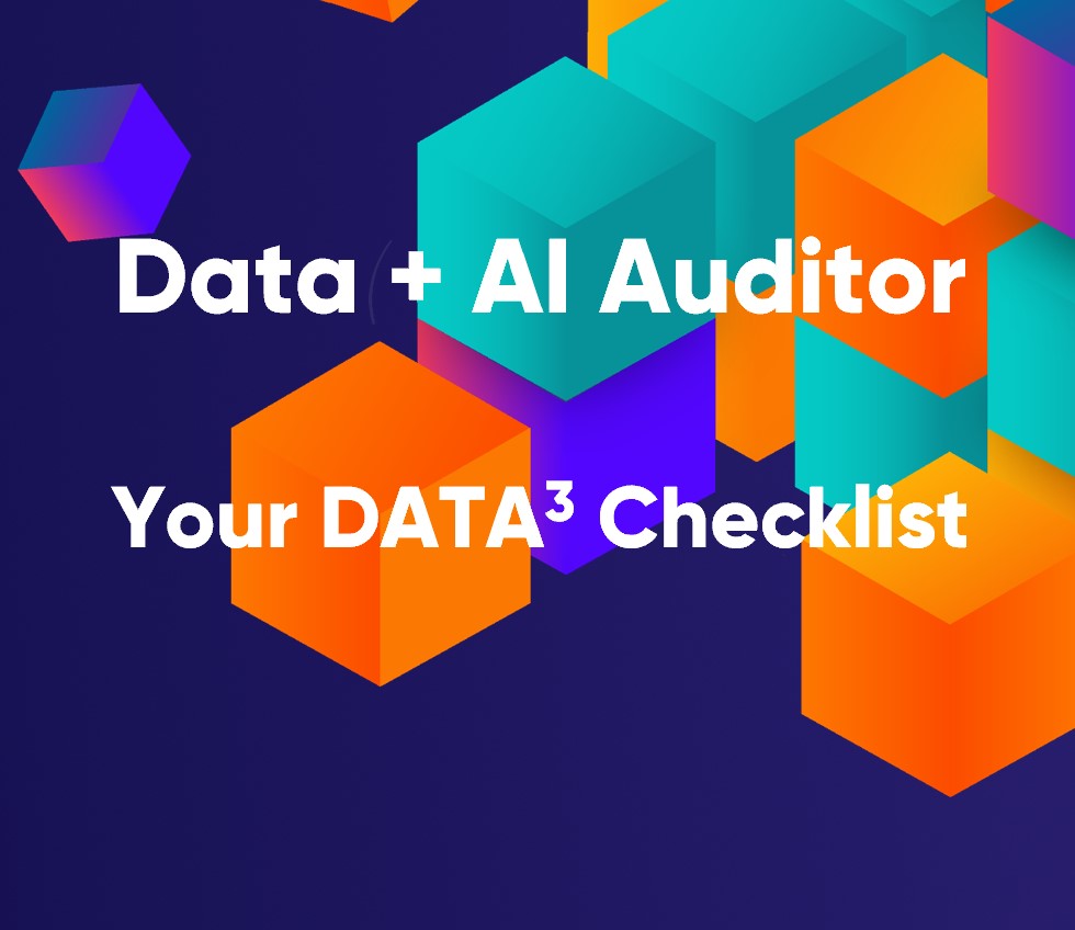 Data + AI Auditor